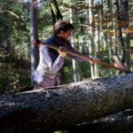 Écorçage en forêt